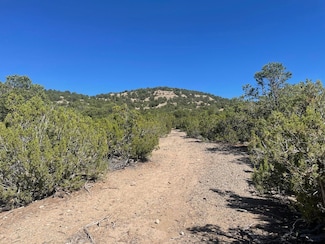 Adjacent Monte Lindo Rd, Talpa, NM 87557