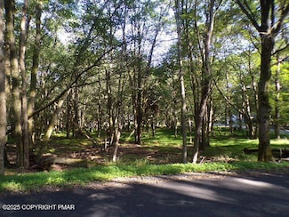 Lot 709A Wintergreen Trail, Penn Forest Township, PA 18210