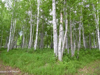 D006 No Road Trail, Talkeetna, AK 99676