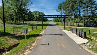 12842 Star Mountain Dr, Winona, TX 75792