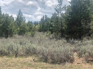TBD Bitterroot Ct Unit 20, McCall, ID 83638