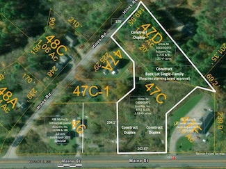 Lot 47D Hines Rd & Main St, Poland, ME 04230