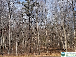 0 Bear Ln Unit 756265, Penn Forest Township, PA 18229