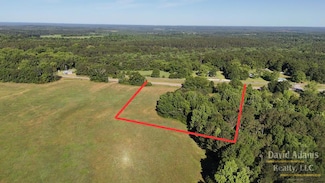 Lot 1 Highway 51, Ariton, AL 36311