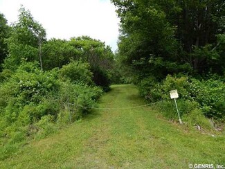 0 Story Rd Unit R251197, Sparta, NY 14437