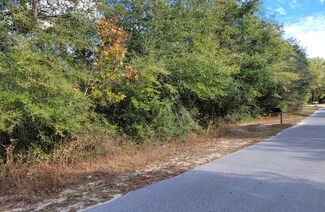 xxx Roberts Dr, Defuniak Springs, FL 32433