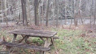 7195 N Fork Hwy, Cabins, WV 26855