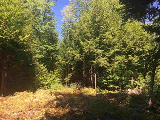 1 Pond View Dr Unit Lot 1, Tuftonboro, NH 03816