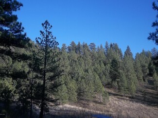 0 Upper Sawmill Loop Unit 3152527, Cascade, MT 59421