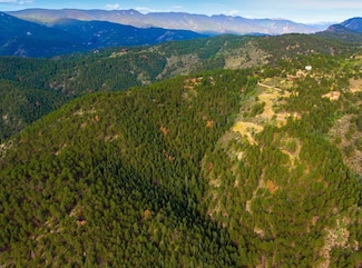 140 Ptarmigan Trail, Bailey, CO 80421