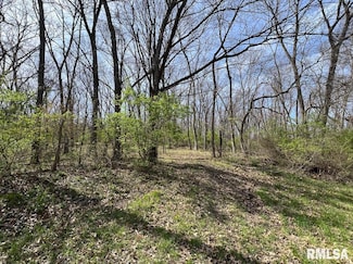 11 Flax Rd, Macomb, IL 61455