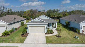 13540 Old Creek Ct, Parrish, FL 34219