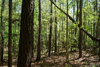 3026 County Road 56, Buena Vista, AL 36425
