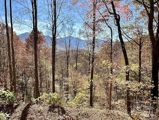 11 Trout Lily Ln Unit 11, Maggie Valley, NC 28751