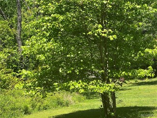 00 Haskin Rd, Goochland, VA 23063
