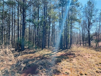 102 Golden Springs Ln, Liberty, SC 29657