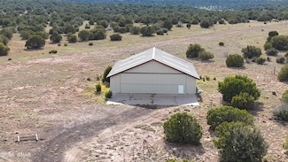0 Cr 8051, Concho, AZ 85924