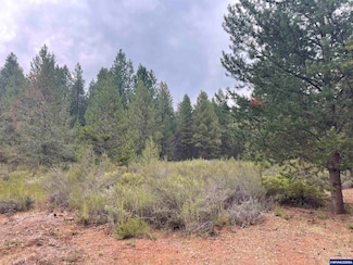Lot 5 Oregon 140, Klamath Falls, OR 97601