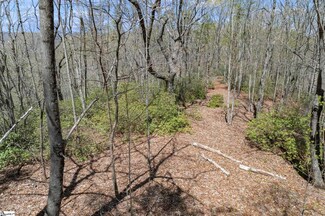 100 Stirrup Ln, Pickens, SC 29671