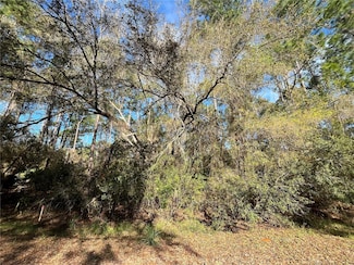104 5th St, Georgetown Cove, FL 32139