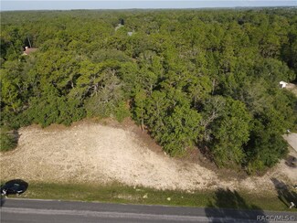 904 N Man o War Dr, Inverness, FL 34453