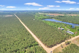 0 Ocelot Rd, Alma, GA 31510