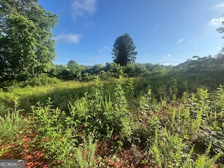 0 Davis Rd 1 63 Acres, Eastanollee, GA 30538