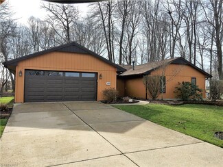 10063 N Surfside Cir, Aurora, OH 44202