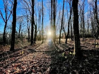 Town Line Rd, McGraw, NY 13101