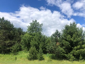 ON Ridgeway Dr, Phillips, WI 54555