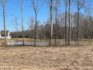 261 Ashworth Cir, Madison, MS 39110