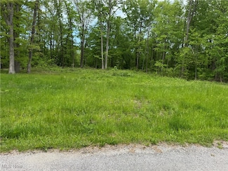 16646 Oakwood Dr, Lake Milton, OH 44429