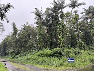 0 Driftwood Ln, Pahoa, HI 96778