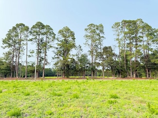 Tbd Cottingham Rd Unit Tract D, Clio, SC 29525
