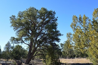 13887 Bly Station Rd A, Williams, AZ 86046