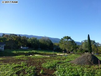 101 Malanani Dr, Kula, HI 96790