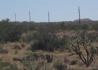 53-56 Western Horizon Estates, Dolan Springs, AZ 86441