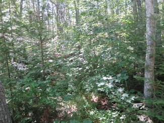 0 Kingfisher Rd Unit 1464310, Bristol, ME 04554