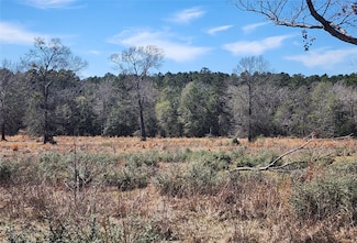 0000 Highway 190, Livingston, TX 77351