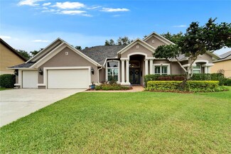 2412 Buckhorn Run Dr, Valrico, FL 33596