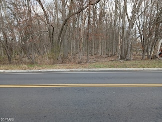 376 Horseneck, Fairfield, NJ 07004