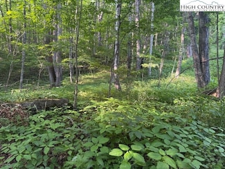 Lot 58 & 59 Beechwood Cir, Creston, NC 28615
