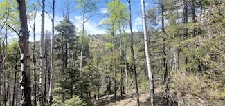 Lot 5610 Dawson Rd, Fort Garland, CO 81133