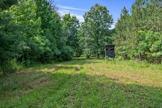 0 Smith Hollow Rd Unit 16829522, Mount Pleasant, TN 38474
