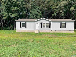 58 Martin Ln, Guntersville, AL 35976
