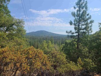 17320 Mount Everest Ct, Mono Vista, CA 95370