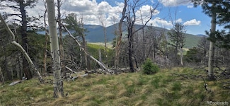 Lot 2732 Grojean Dr, Sangre de Cri, CO 81133