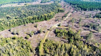 - Walker Springs Rd, Monticello, FL 32344