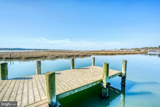 LOT 48 Piney Island Rd, Chincoteague, VA 23336
