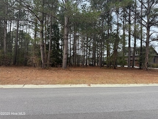 388 Red Fox Run, Wallace, NC 28466